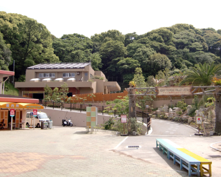 福岡市動物園